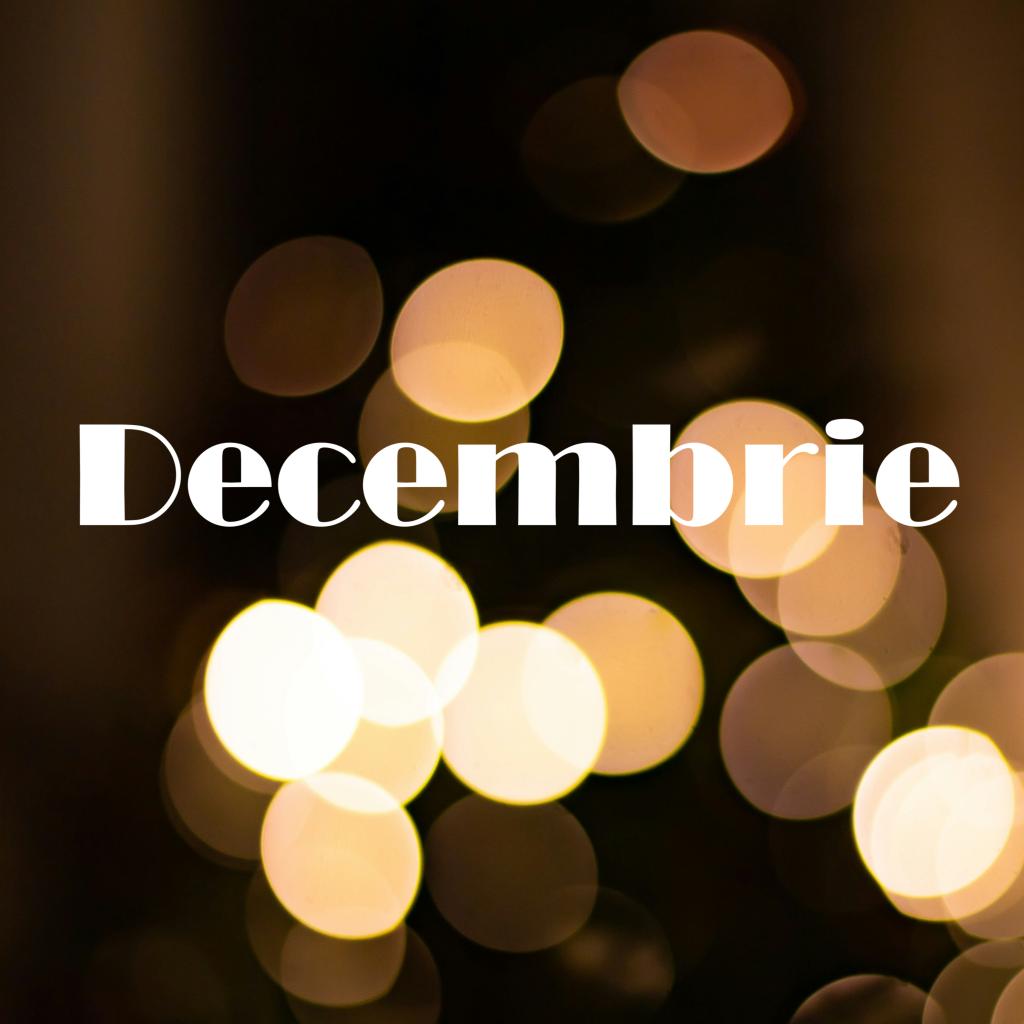 Business travel în luna decembrie